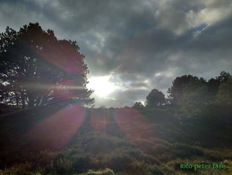earth healing