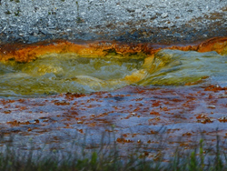  natural colors 